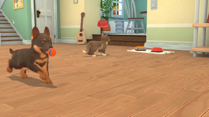 Image du produit Maximum Games My Universe - Chiens et chatons (Switch, IT)