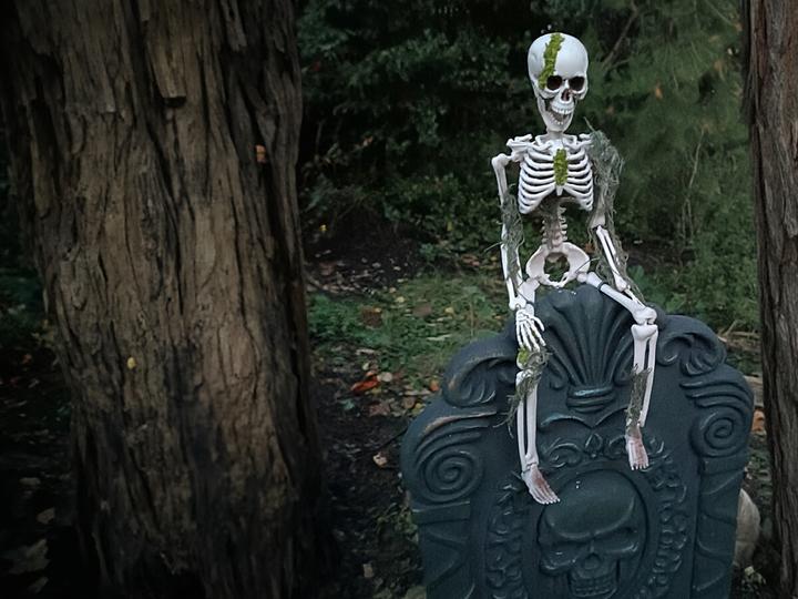 Actual product image Europalms Halloween skeleton with moss, 40cm