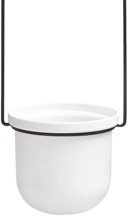 Produktbild Umbra Triflora (15 cm)