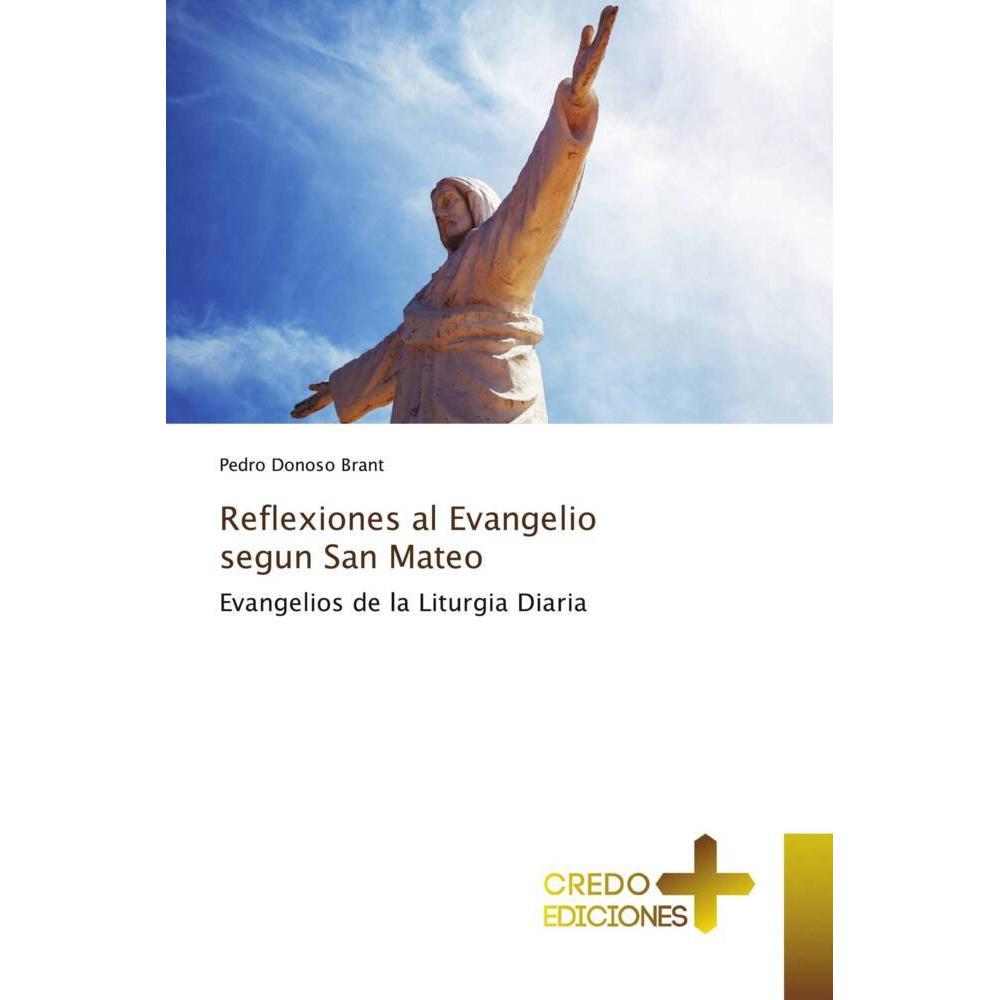 Reflexiones al Evangelio segun San Mateo, Sachbücher von Pedro Donoso Brant