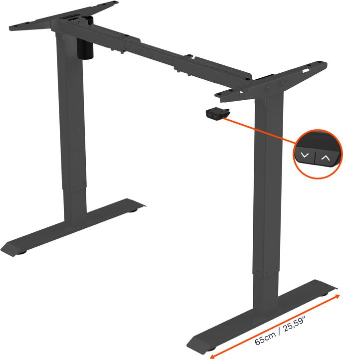 Image du produit Celexon L'économie