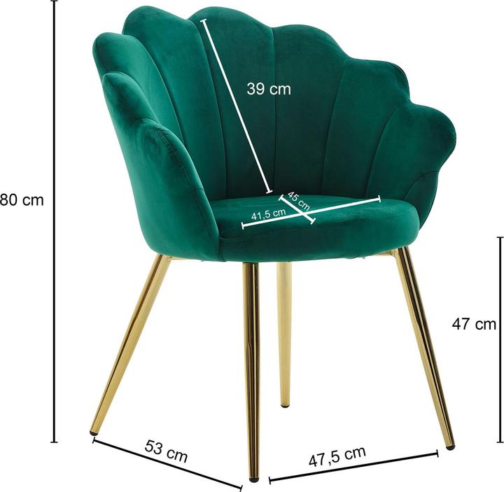 Actual product image FineBuy Chairs velvet green