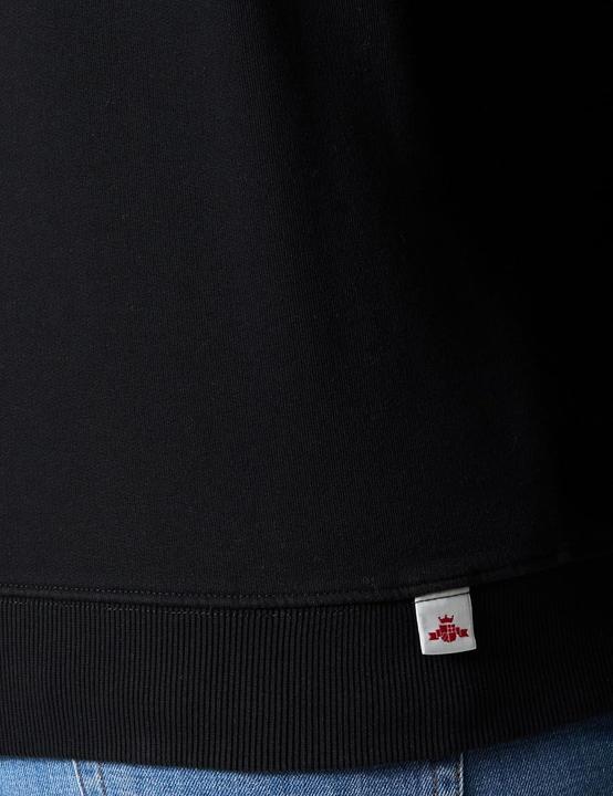 Image du produit Replay Sweatshirt Regular Fit Attitude Collectie (XS)