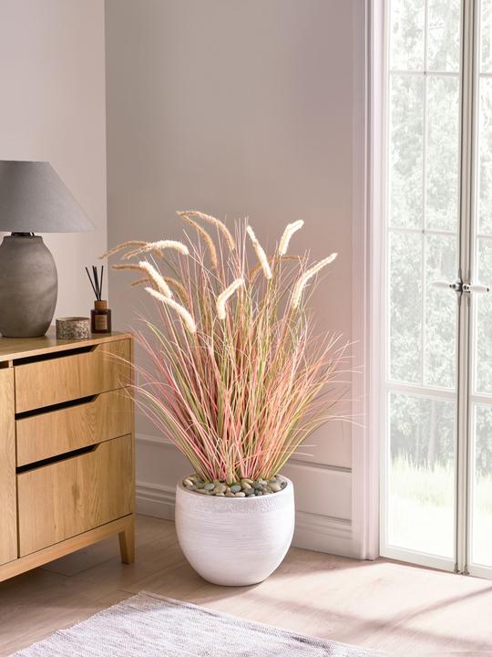 Immagine prodotto Beliani Bristlegrass (120 cm)