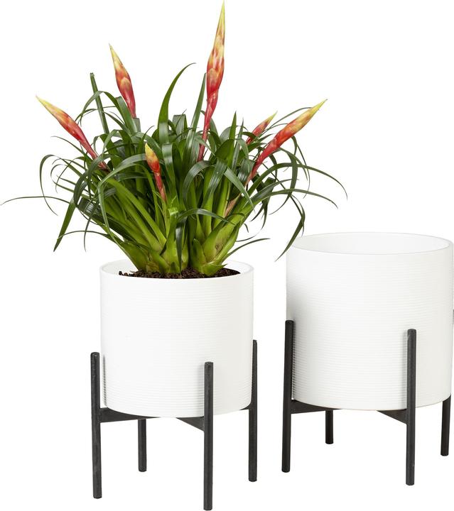 Produktbild Scheurich Pedestal 19, Pflanzenständer/Metallständer/Blumenständer/Blumentopfständer/Postament aus M