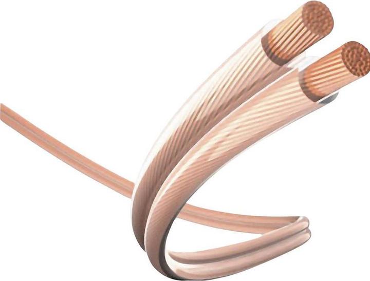 Image du produit Inakustik 2in1 (0.75 m, Câbles Cinch)