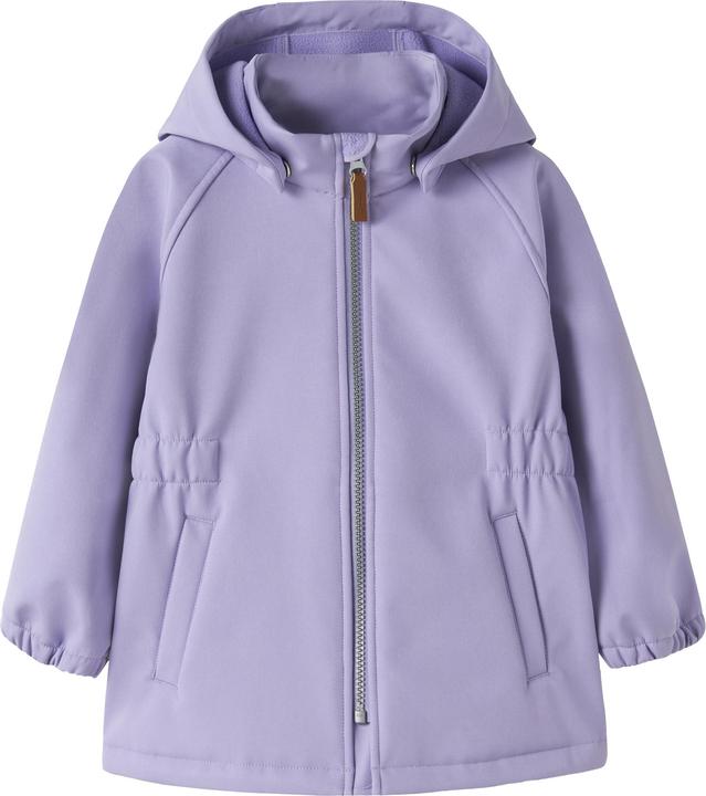 Allium illuminato dal sole