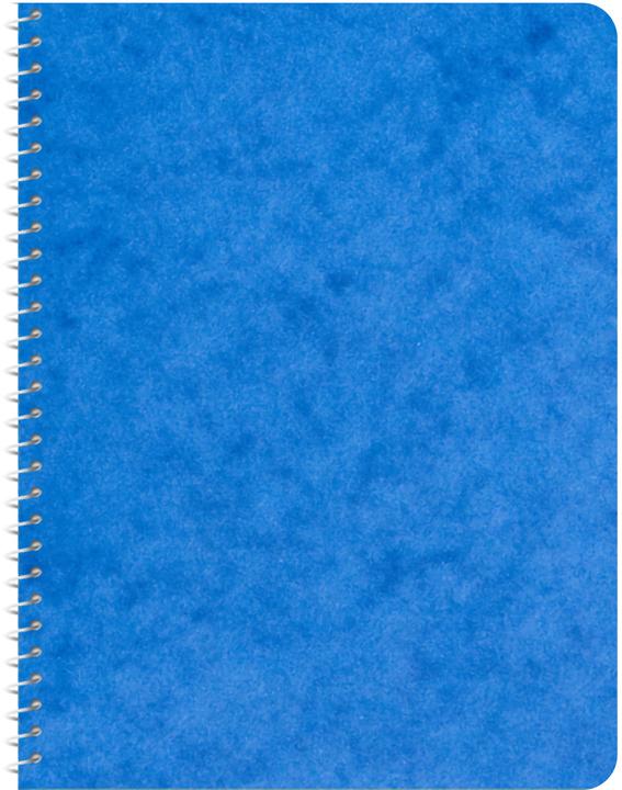 Produktbild Novooo Spiralheft assortiert (A6, Kariert)