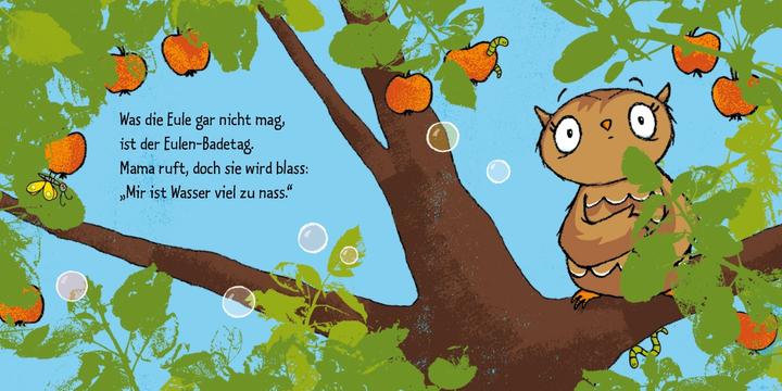 Actual product image The little owl bathes (German)