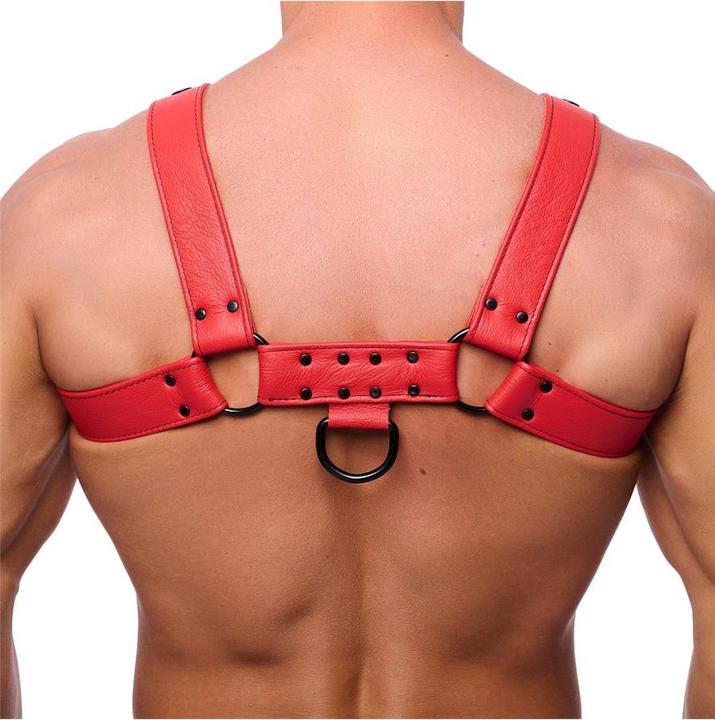 Produktbild The Red Leder-Harness "Snap" (L)