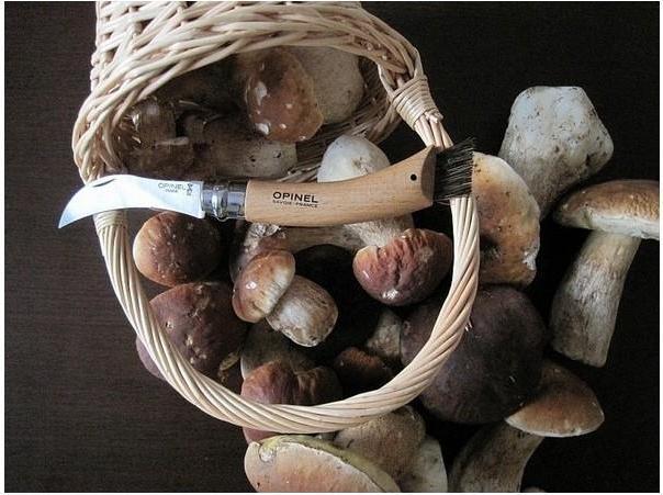 Produktbild Opinel No 08 Pilzmesser mit Bürste (7 cm)