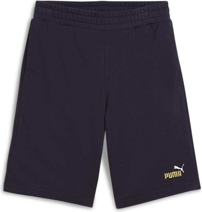 Image du produit Puma ESS 2 COLOR No. 1 Logo Shorts 10" TR (M)