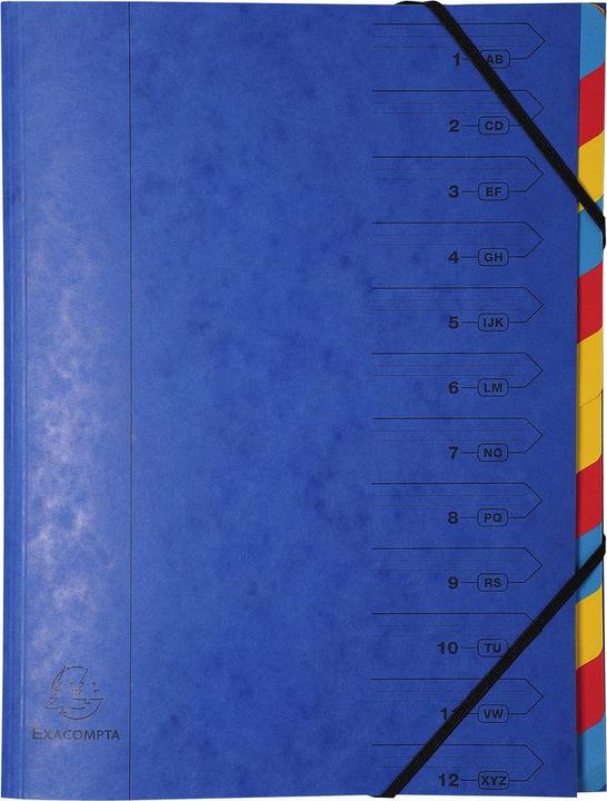 Actual product image Exacompta Stapled file folders (A4, 1 x)