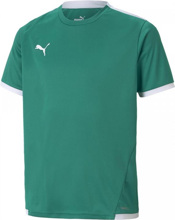Productafbeelding Puma teamLIGA Jersey Jr-704925 (176)