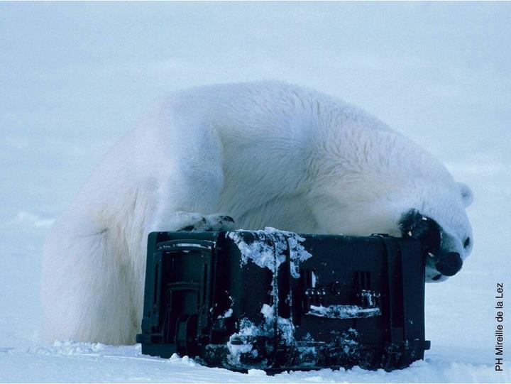 Produktbild Explorer Cases Spezialkoffer 38x27x18 cm Mod. 3818 (18.40 l)