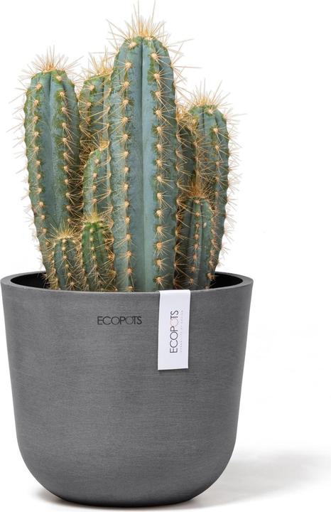 Immagine prodotto Ecopots Oslo Mini (16 cm)