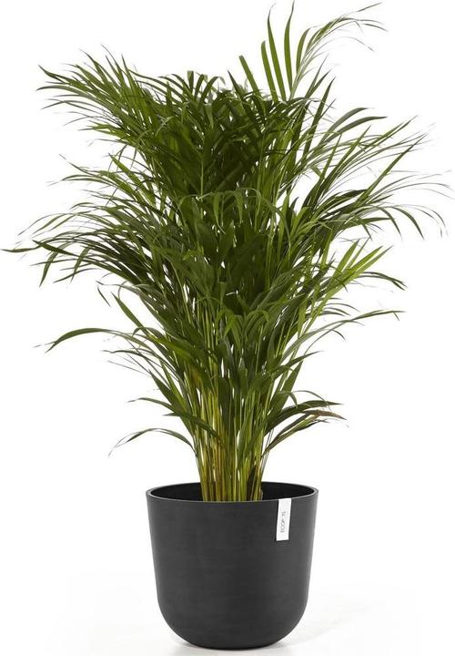 Produktbild Ecopots Oslo (35 x 30.50 cm)