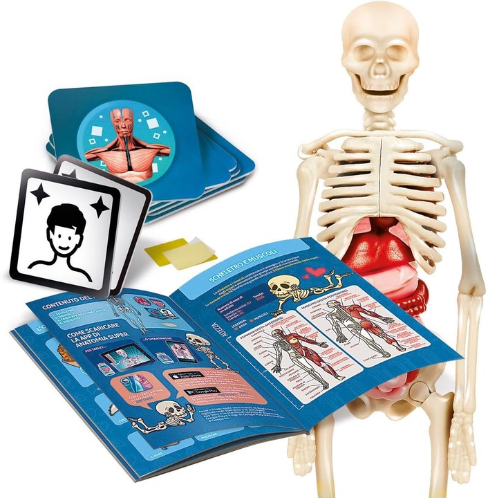 Actual product image Clementoni The Human Body