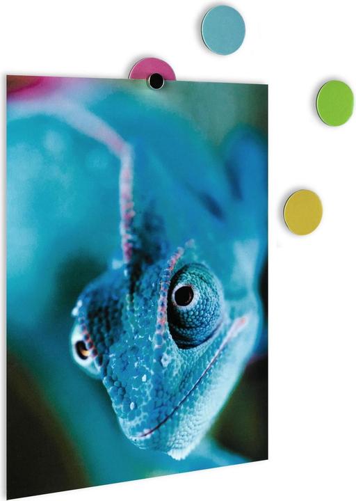 Actual product image Trendform Magnetic dots (28x)