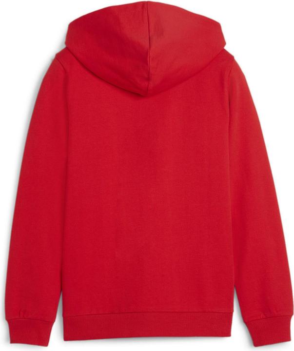 Produktbild Puma teamGOAL Casuals Hooded Jacket Jr (128)