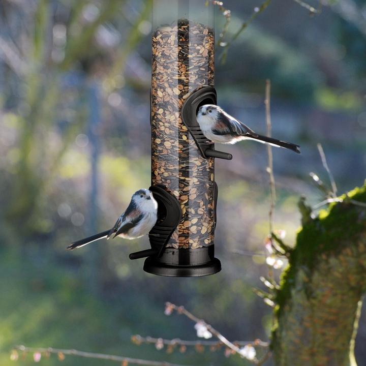 Actual product image Relaxdays Vogelfutterspender