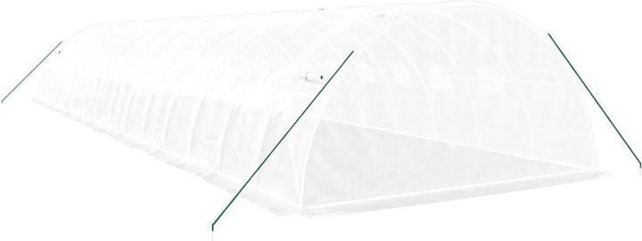 Actual product image vidaXL Gewächshaus