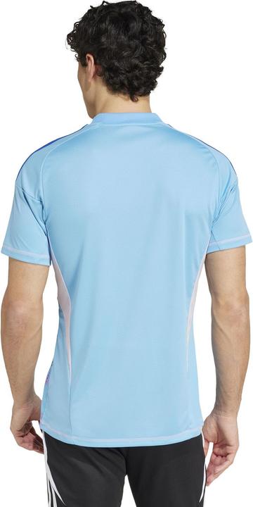Produktbild adidas Real Madrid Torwart Trikot (L)