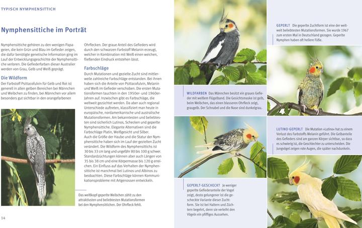 Produktbild Nymphensittiche (Deutsch, Hildegard Niemann, 2017)