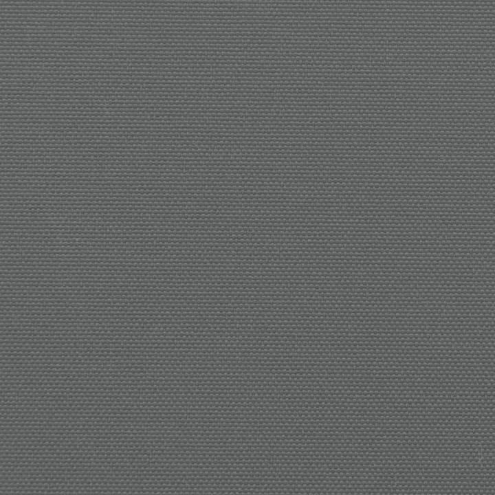 Produktbild vidaXL Seitenmarkise (10 m)