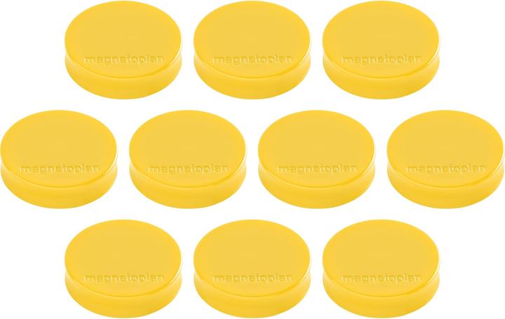 Actual product image Magnetoplan Ergo magnet (1 x)