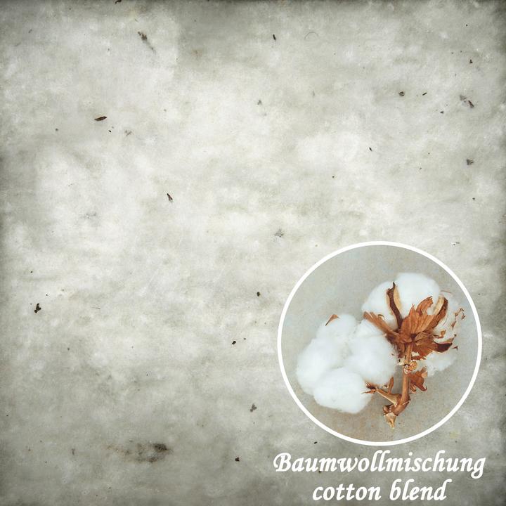 Immagine prodotto Erwin Müller Matratzenauflage (120x200 cm)