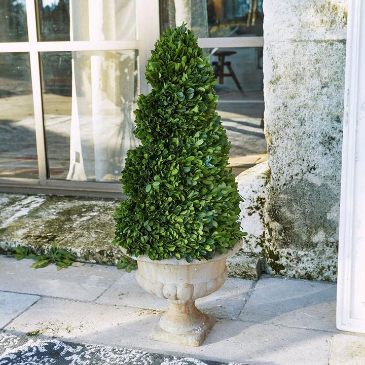 Immagine prodotto Loberon Deco Tree Humbria verde/crema (75 cm)