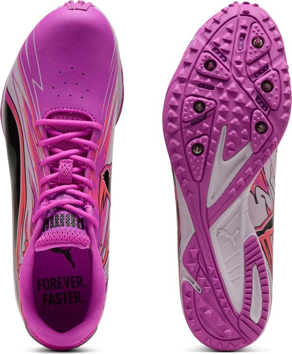 Image du produit Puma evoSPEED Haraka Sparked (44.5)