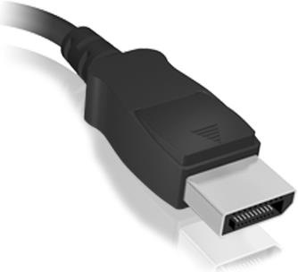 Actual product image Icy Box DisplayPort to (HDMI, 15 cm)