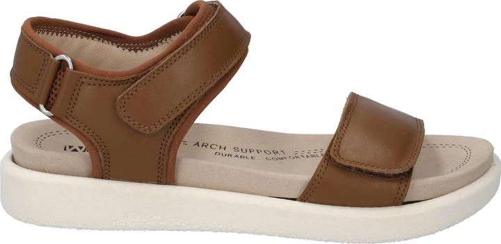 Produktbild Westland 25401-410 (38)