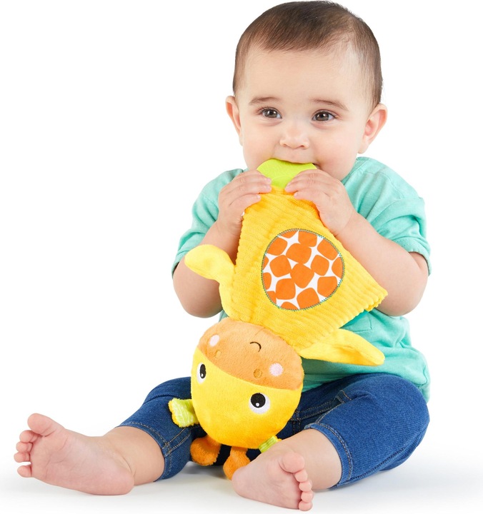 Actual product image Bright Starts Snuggle & teether w. giraffe