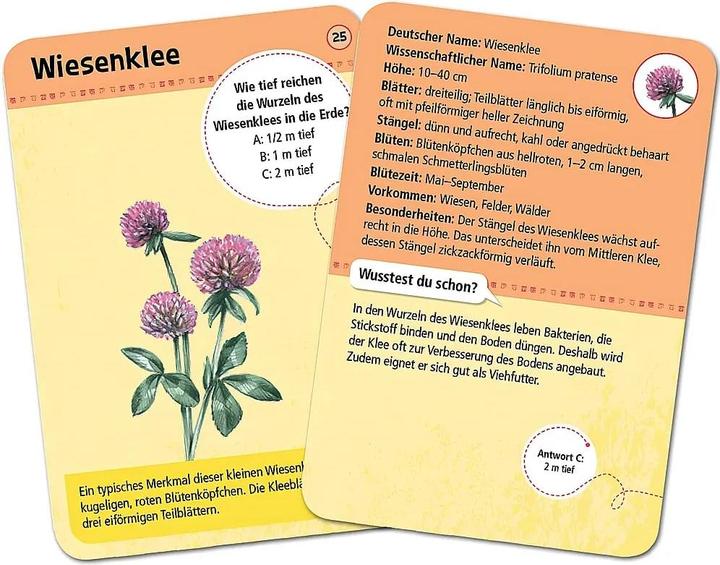 Produktbild 50 heimische Blumen (Deutsch, 1 - 20 Spieler)