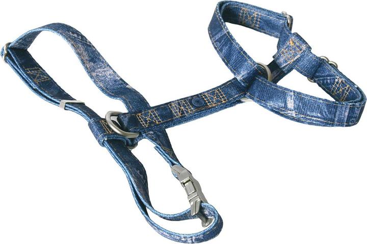 Produktbild Image Jeans (S, Hund, Spazieren)