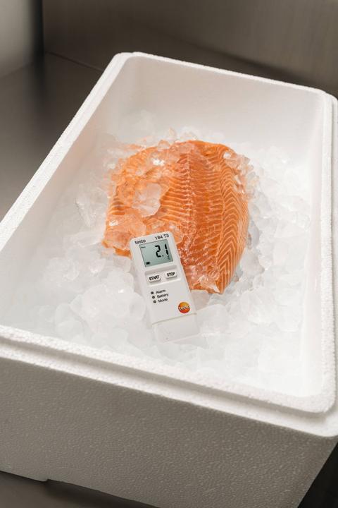 Produktbild Testo 184 T3 - Temperaturdatenlogger für Transportüberwachung (Thermometer)