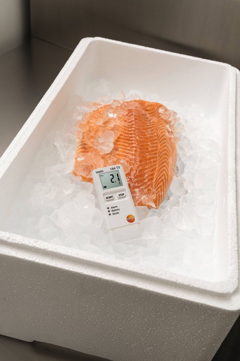 Produktbild Testo 184 T3 - Temperaturdatenlogger für Transportüberwachung (Thermometer)