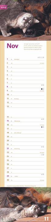 Produktbild Whiskas Katzenleben Kalender 2026 (Harter Einband, Deutsch)