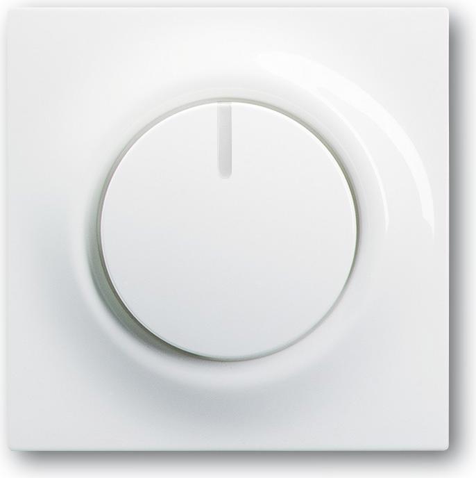 Actual product image Busch-Jaeger Central disk