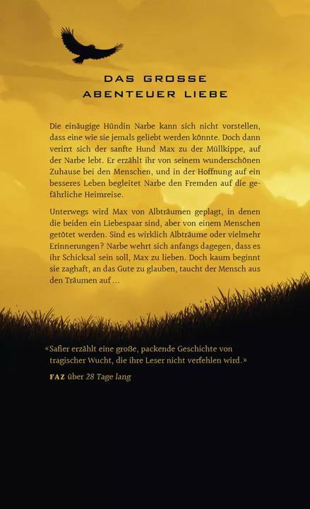 Produktbild Die Ballade von Max und Amelie (Deutsch, David Safier, 2018)