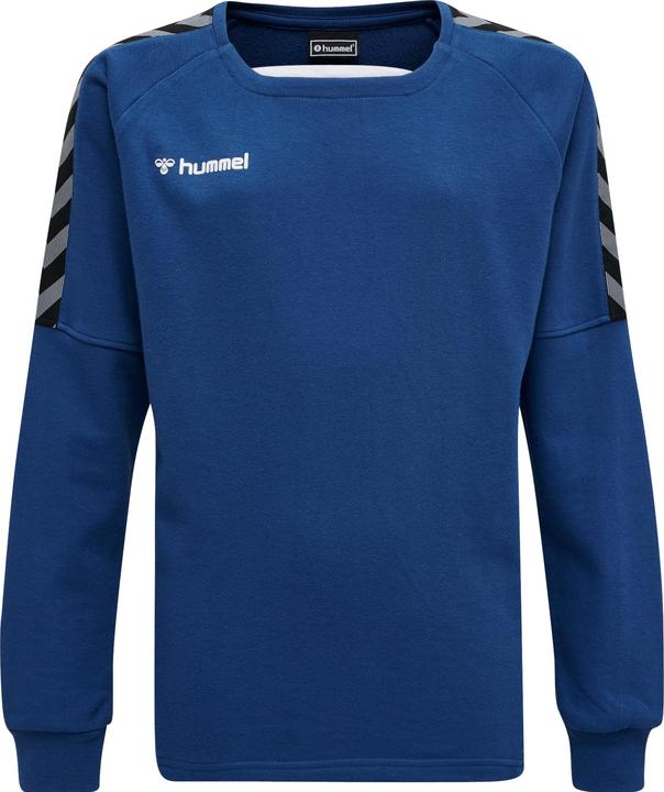 Actual product image hummel Authentic Kids Training Sweat (116)