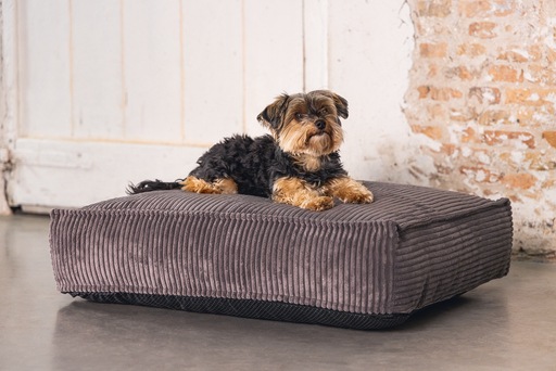 Productafbeelding Designed by Lotte Geribbeld (Hond)
