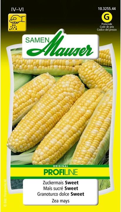Samen Mauser Zuckermais Sweet Profiline (Gemüsesamen)
