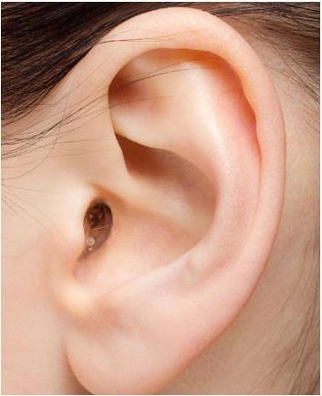 Actual product image Earaser hearing protection (M) (1x)