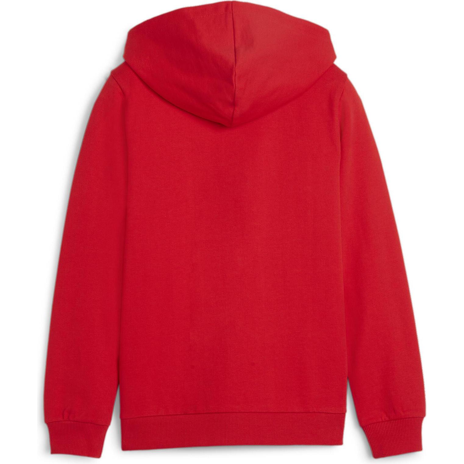 Thumbnail - Puma, Jungen, Pullover, teamGOAL Casuals Hooded Jacket Jr, Rot, (128)