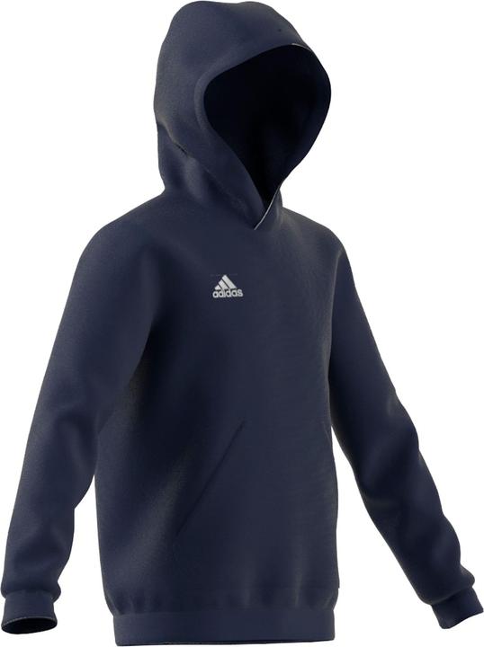 Produktbild adidas Entrada 22 Kapuzenpullover Kinder (176)