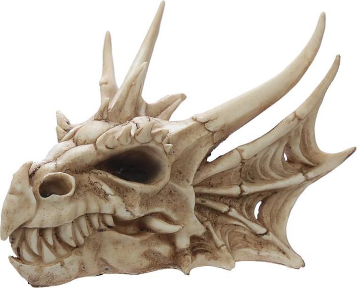 Puckator Décoration de crâne de dragon